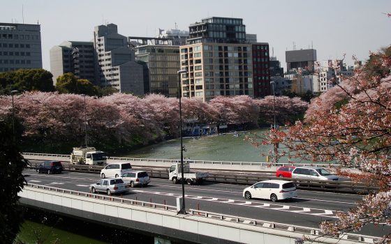 Japonya Resmi Tatilleri 2026 ve 2027: Tam Liste, Golden Week ve Yoğun Dönemler